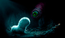 Lived-was worm