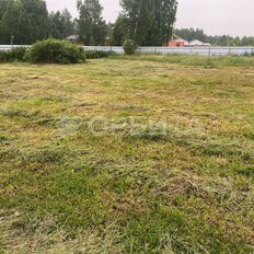15,5 сотки, участок - изображение 5