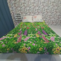 Квартира 25 м², студия - изображение 2