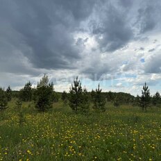 4,5 сотки, участок - изображение 3