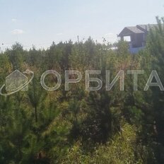 8,5 сотки, участок - изображение 2