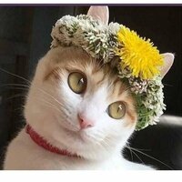 Ната Н.