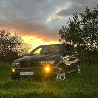 ежик