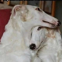 Эва