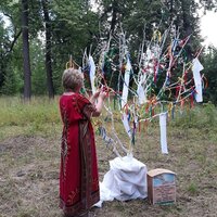 Елена Петрова