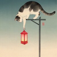 MoonRabbit13