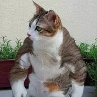 Денис Прибыткин