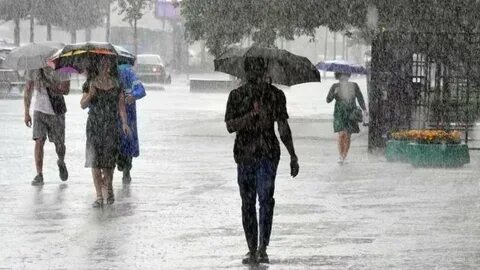 В южной части Москвы выпало около трети месячной нормы осадков